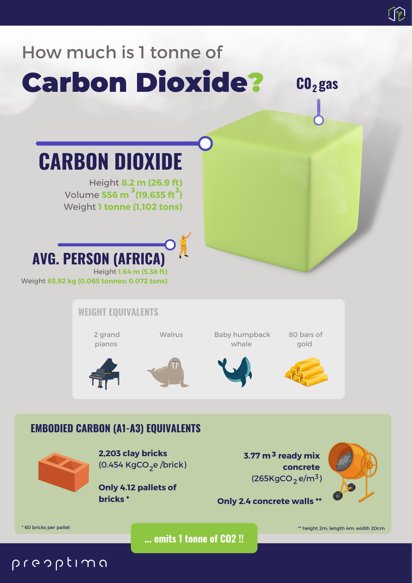 The Size Of Carbon the-size-of-carbon